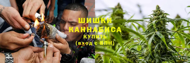 Шишки марихуана THC 21%  наркошоп  Липки 